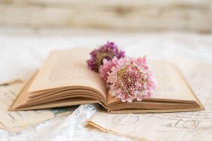 小説家に向いている星座