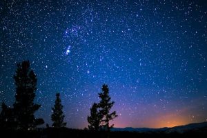 12星座別占い