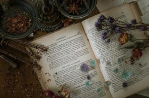 星座別　読書