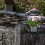 京都の雨 小柳ルミ子