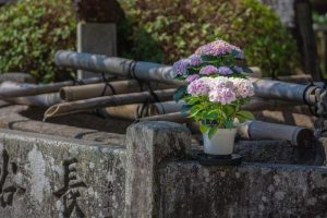京都の雨 小柳ルミ子
